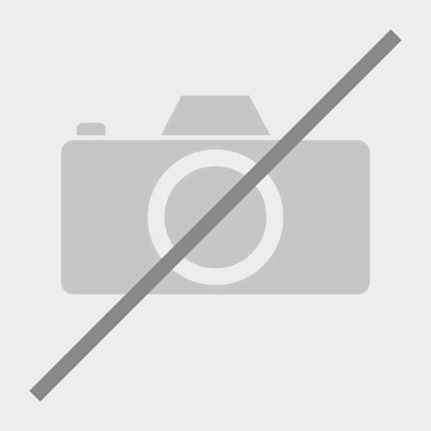 45270423_medium_1.webp